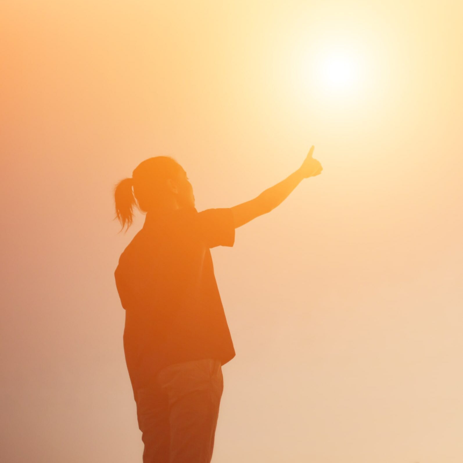 The Structure Of EMDR Therapy A Guide For The Therapist Frontiers In 